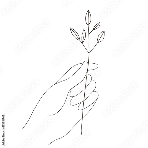 Vector illustration with abstract female hand and branch in minimalistic linear style. Hand drawn boho feminine fingers, sprig for logo, cosmetic, beauty, tattoo, spa, manicure, jewelry store