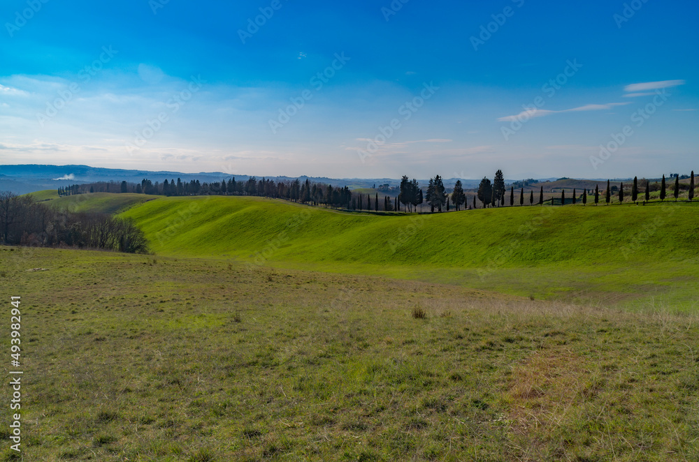 Prati verdi della campagna toscana Prati verdi della campagna toscana