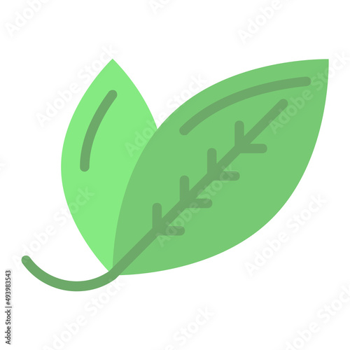Bay laurel leaves Concept,  Fresh Lauraceae vector color icon design, Condiments and Spices symbol, Food cooking ingredients Sign, Herbs and table sauce stock illustration