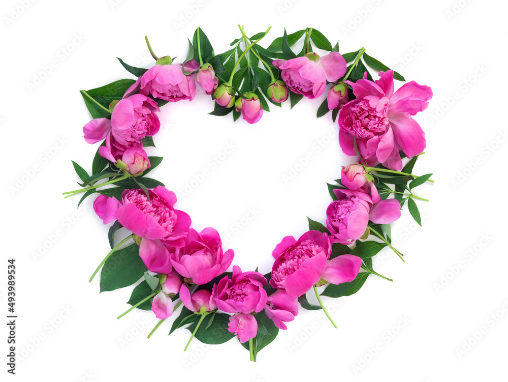 Bouquet of delicate beautiful pink peonies in  form of  heart  on white isolated background. Creative floral wreath.