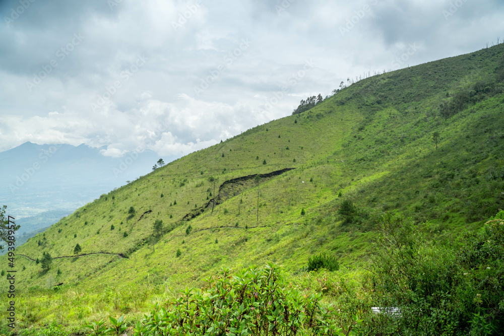 The vast green meadow above the mountains The vast green meadow above the mountains