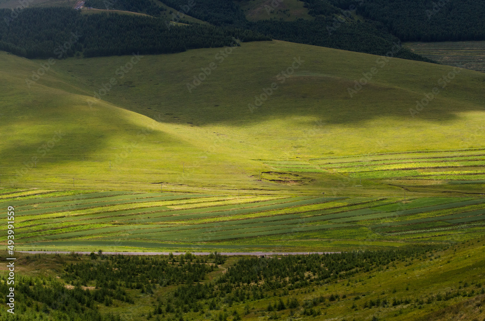 landscape with green field and mountains