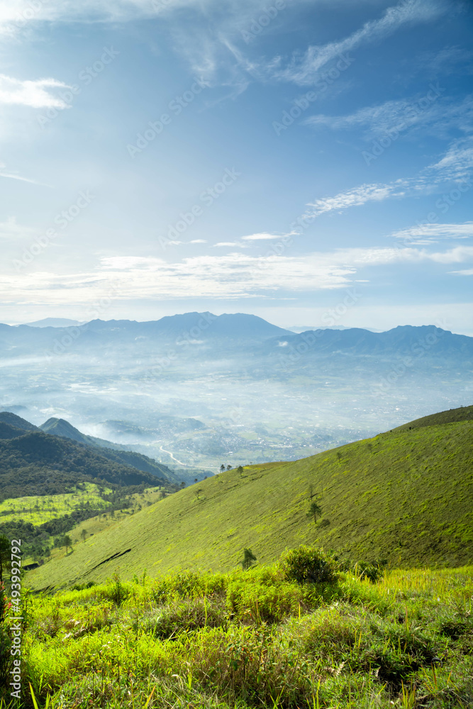 Obraz premium View of Indonesia's mountains with wide green grass