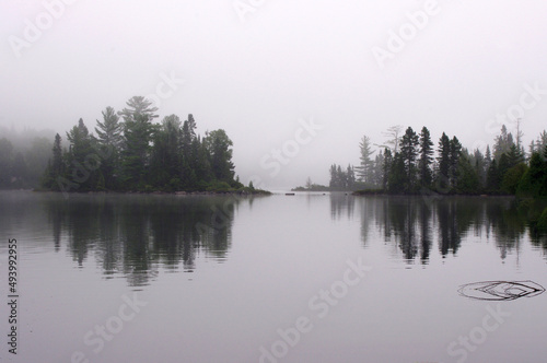 silhouette of trees on lake in heavy fog with copy space