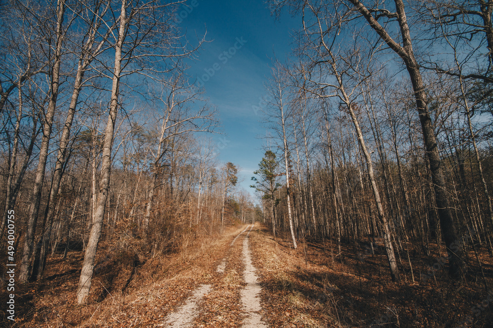 Forest Road Forest Road
