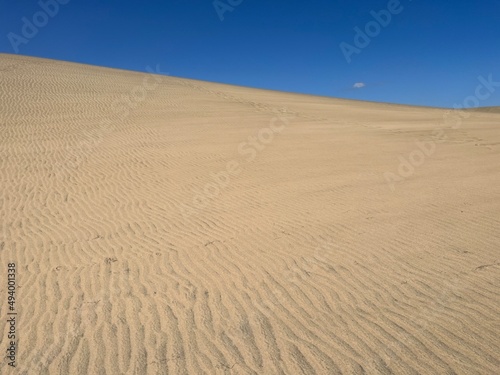 Maspalomas sand dunes on the island of Gran Canaria 