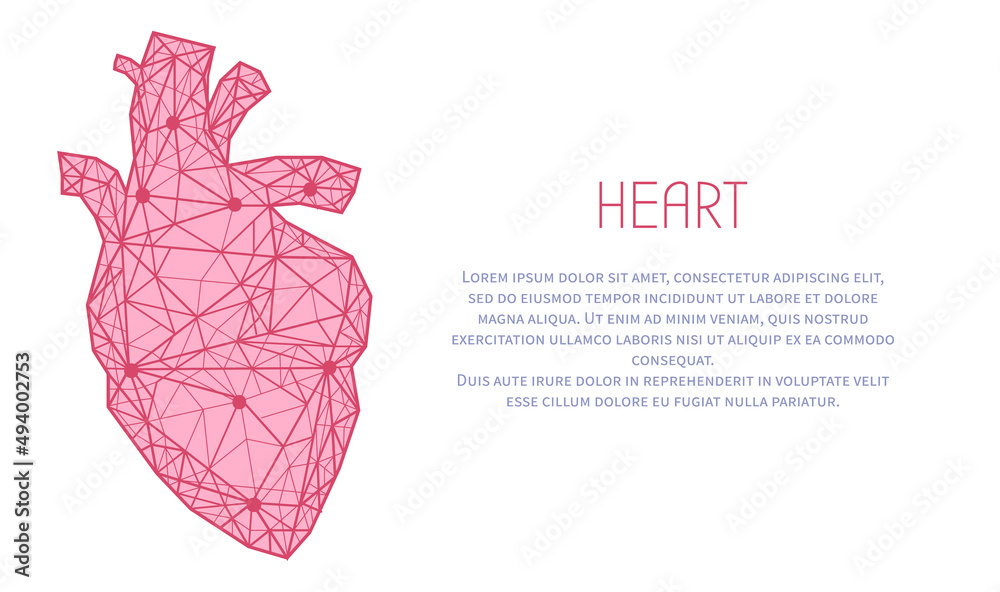 Polygonal human heart made of red lines and dots. Medical research of internal organs, innovative approach concept. Organ of human cardiovascular system. Modern depiction of blood pumping organ.