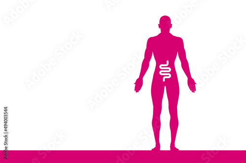 sagoma, organi corpo umano, medicina