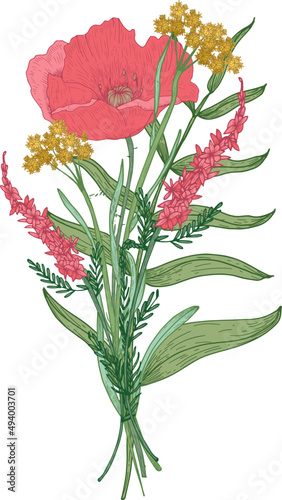 Bunch of Wild Meadow Blooming Flowers Hand Drawn Illustration