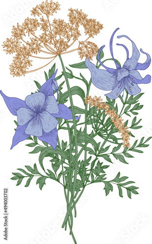 Bouquet of Wild Meadow Blooming Flowers Hand Drawn Illustration