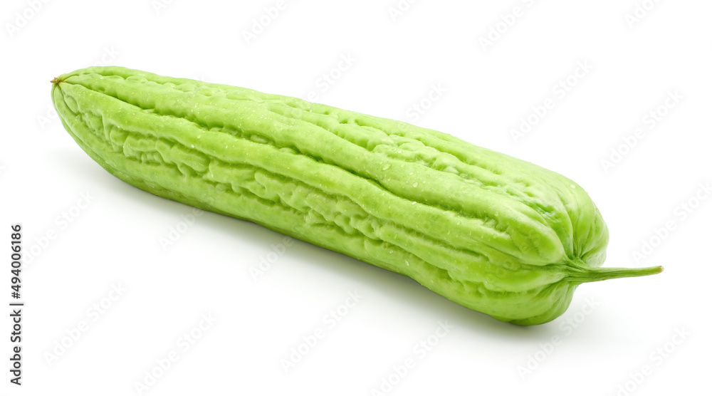 Fresh green bitter cucumber or chinese bitter gourd with droplets of water isolated on white background. Fresh green bitter cucumber or chinese bitter gourd with droplets of water isolated on white background.