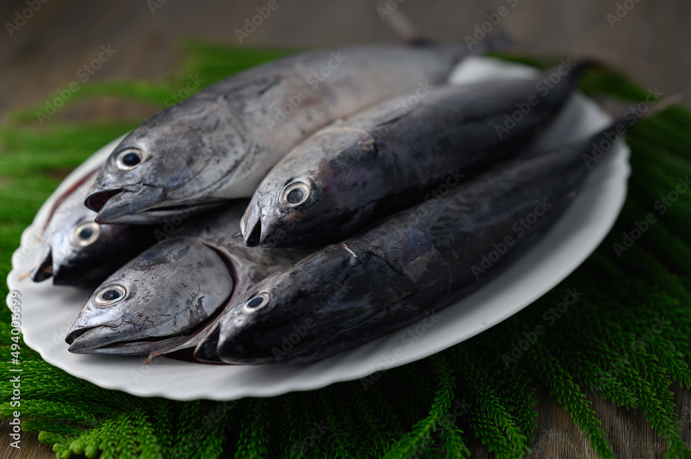 Freshly caught fish, young tuna on white ceramic plate, horizontal view Freshly caught fish, young tuna on white ceramic plate, horizontal view
