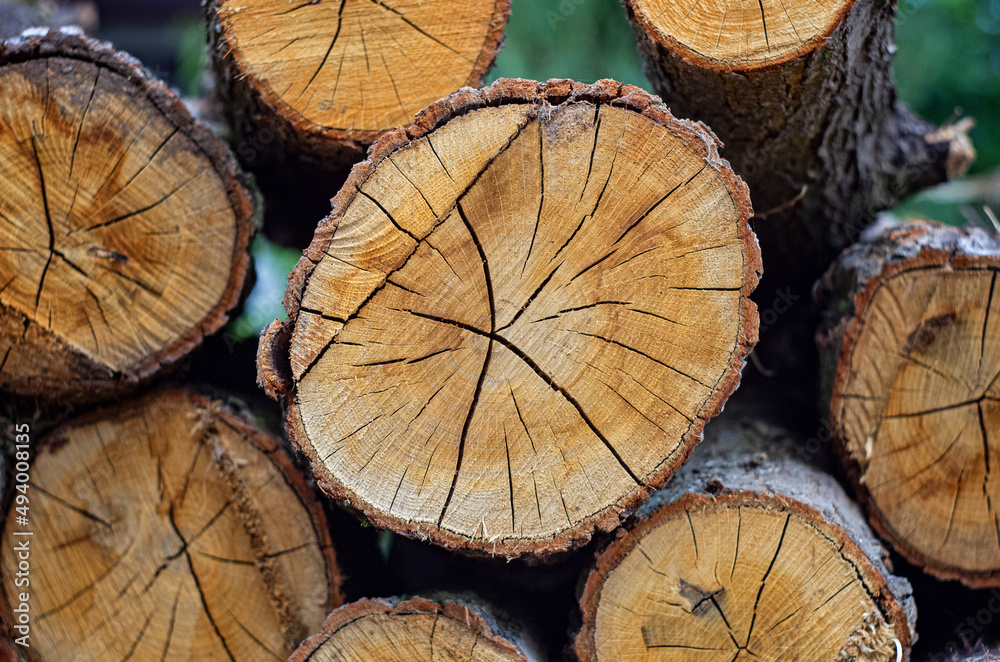 Naklejka premium Wood logs storage in the open air. Firewood stacked outside. Wood log pile. Wood background.