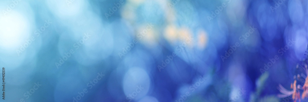 Light blue Leaf background. Blurred leaves and circular bokeh. Abstract for design and wallpaper. Light blue Leaf background. Blurred leaves and circular bokeh. Abstract for design and wallpaper.