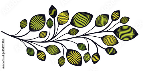 Floral vector design with leaves and branches isolated over white, classical elegant fashion style banner or text divider for design, luxury vintage linear emblem or frame element.
