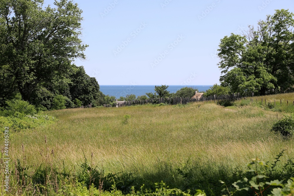 Fototapeta premium landscape with trees and water