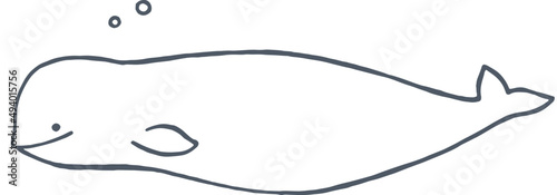 Fotografering Beluga Whale Sketch Hand Drawn Illustration