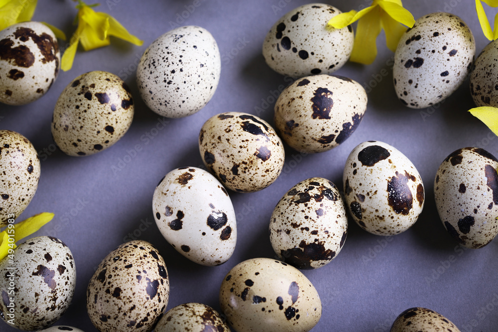 Easter composition. Easter background. Easter quail eggs. Quail eggs on gray background Easter composition. Easter background. Easter quail eggs. Quail eggs on gray background