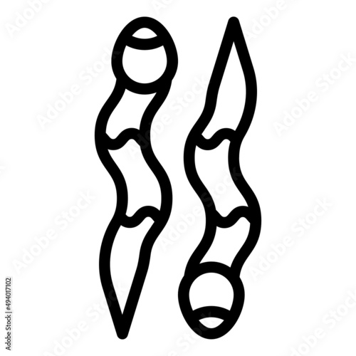 Leech