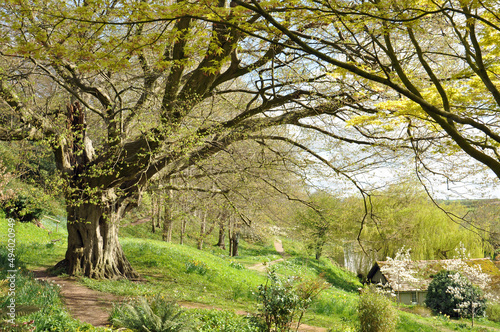 Springtime scenery in the UK.