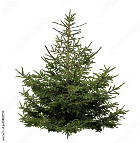 Beautiful fir isolated on white. Christmas tree