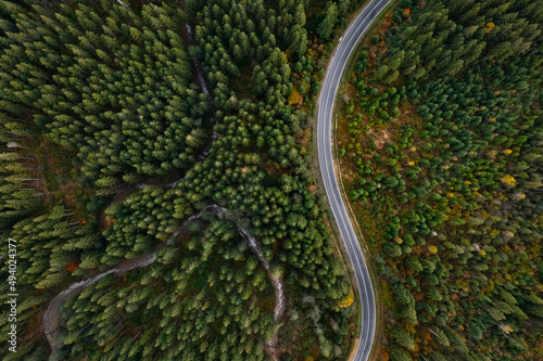 Aerial view of beautiful forest and empty road on autumn day © New Africa