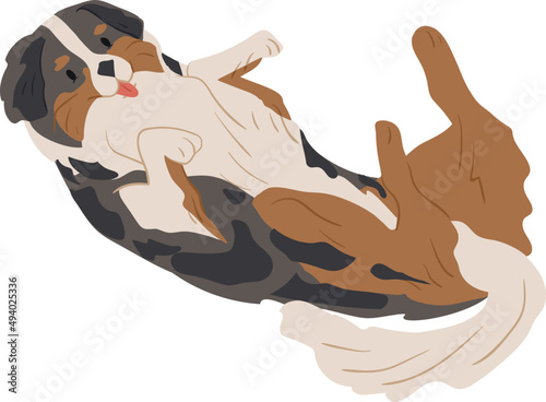 Merle Colored Australian Shepherd Lying Illustration