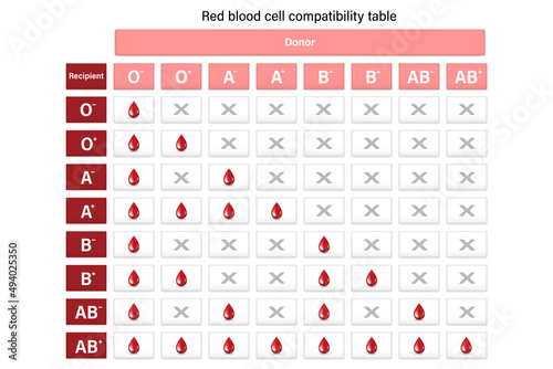Red blood cell compatibility table. Blood donation. Donor and recipient.