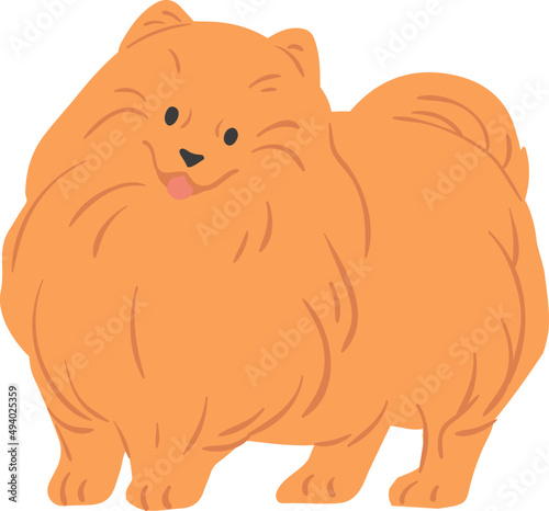 Portrait of Cute Pomeranian Spitz Illustration