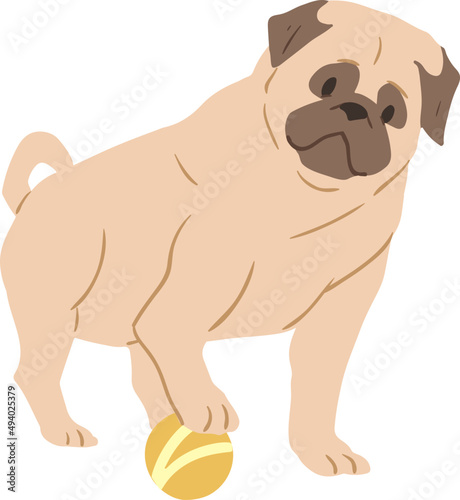Cute Pug Playing with Ball Illustration