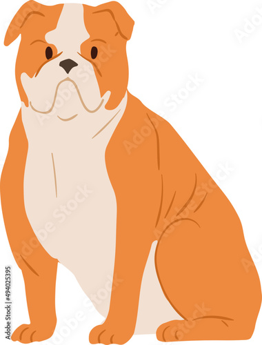 Portrait of Angry English Bulldog Illustration