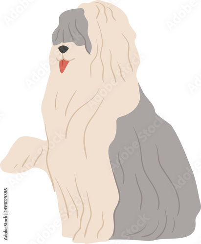 Old English Sheepdog or Bobtail Illustration