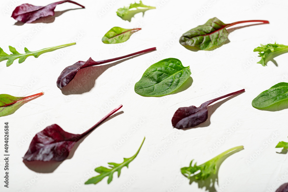 Mix of different salads on a white background. Arugula leaves, red chard, spinach. Vegetarian concept. Vegetable background. Mix of different salads on a white background. Arugula leaves, red chard, spinach. Vegetarian concept. Vegetable background.