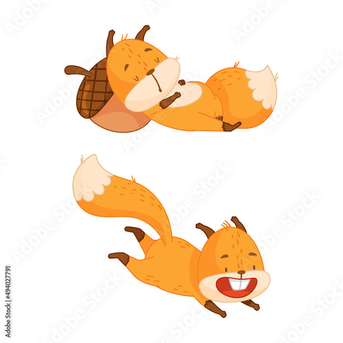 Cute red squirrel in different actions set. Funny little forest animal sleeping and jumping cartoon vector illustration