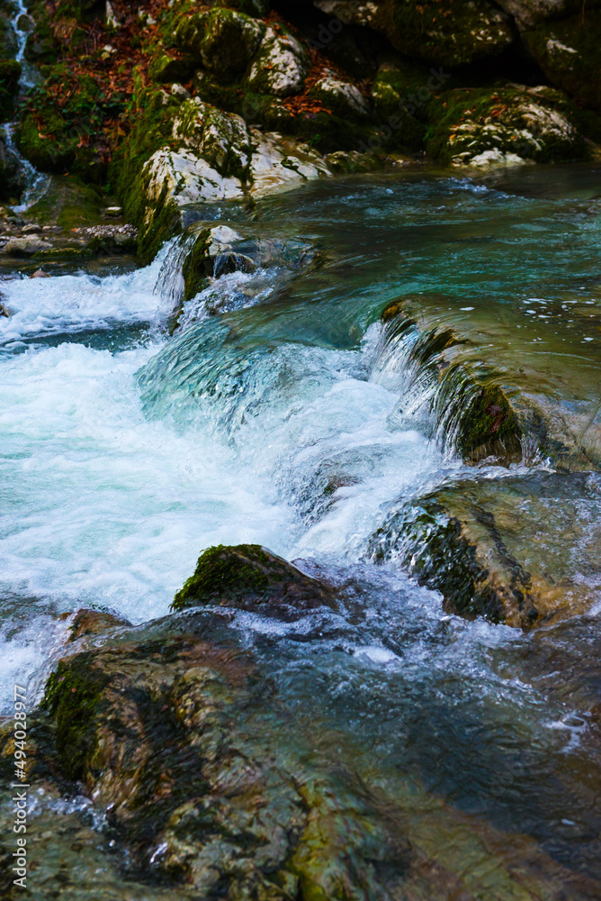 Fototapeta premium small waterfall on a river with blue clean water in a wild forest