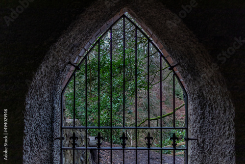 Look of the forest from inside of the medieval building with a gate with bars photo