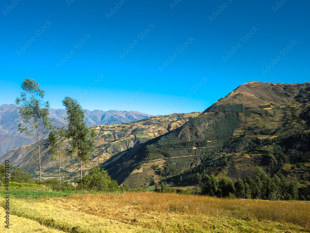 Naklejka premium Landscape in the altiplano of the Peruvian Andes