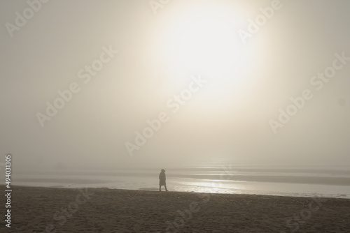 Fog at the winter beach 