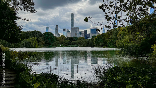 NYC skyline from within Central Park