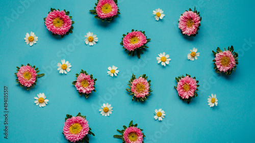 Overhead Shot of Colorful Daisies on a Blue Background photo