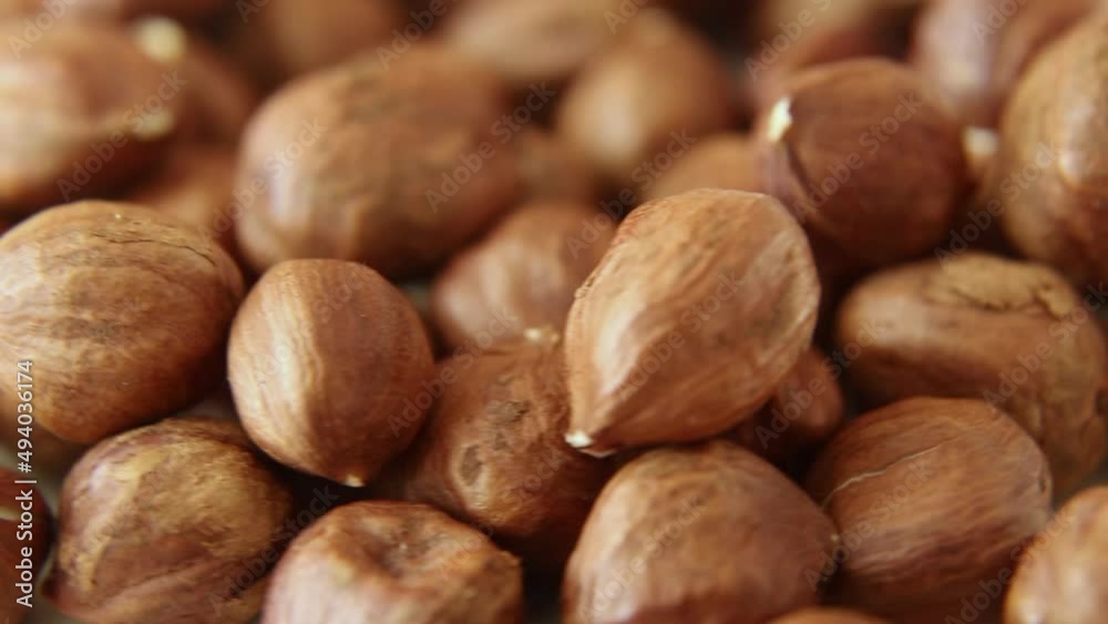 Hazelnuts are a cyclical movement. Lots of filbert. Hazelnuts are a cyclical movement. Lots of filbert.