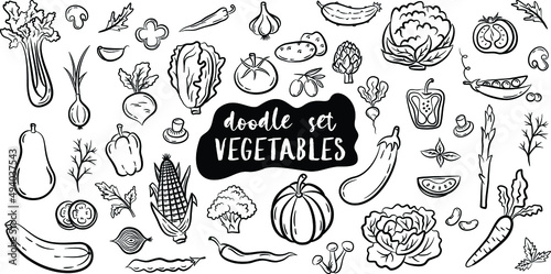 Hand drawn doodle style vegetables isolated on white background. Vector illustration for banners, websites, menu design, packaging, cookbook or advertising.