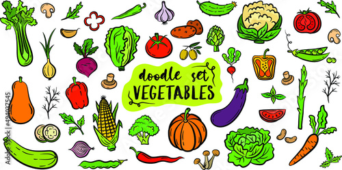 Hand drawn doodle style vegetables isolated on white background. Colorful vector illustration