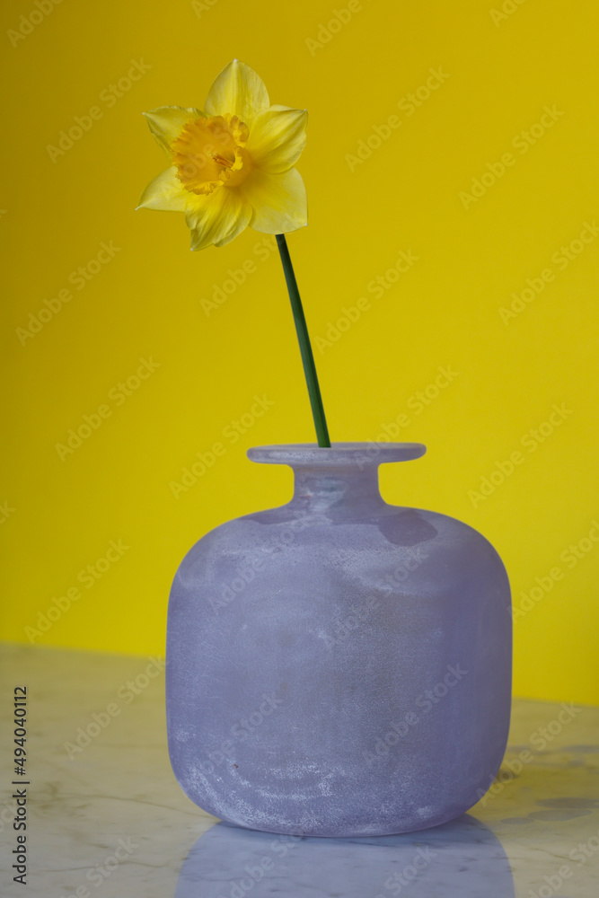 one daffodil in bloom in lilac artistic murano vase one daffodil in bloom in lilac artistic murano vase