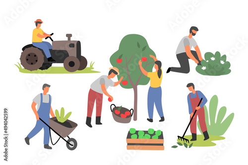 People working in garden vector. Man and Woman backyard with plants. Summer outdoor works