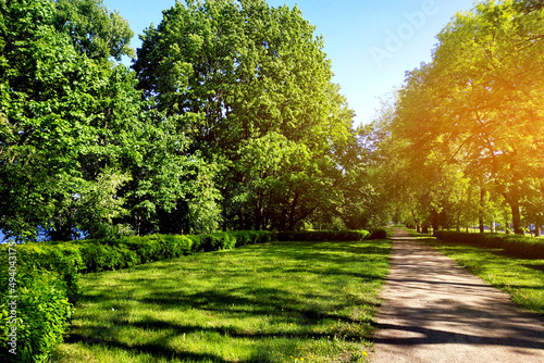 Alley in the city park on a sunny summer day