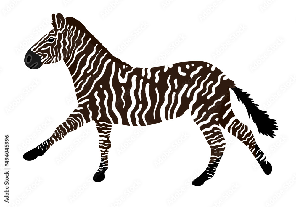 Fototapeta premium Galloping melanistic zebra vector illustration. Rare animals vector