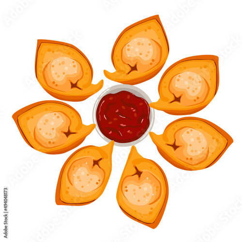 Fried Momos, or Wontons. Vector Illustration