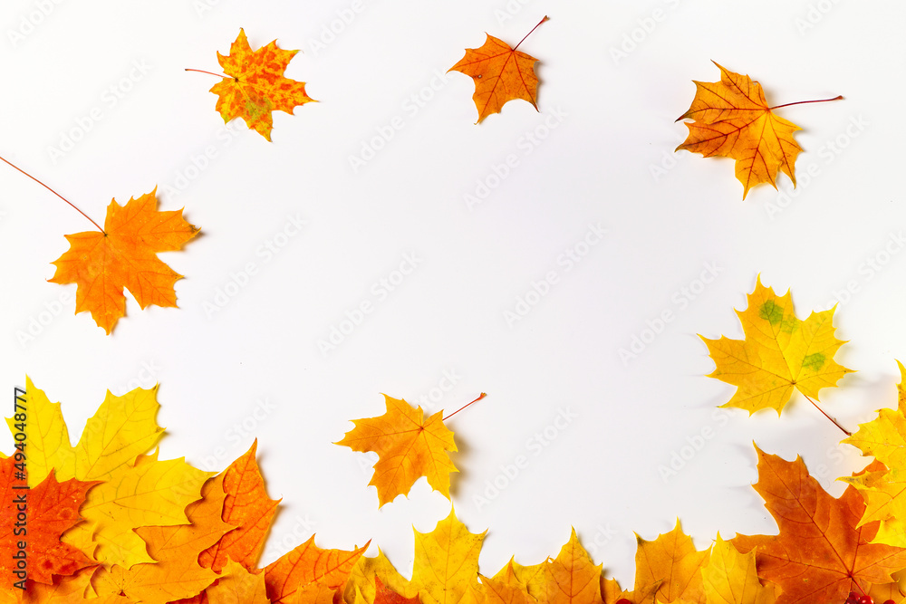 Image with autumn leaves. Image with autumn leaves.