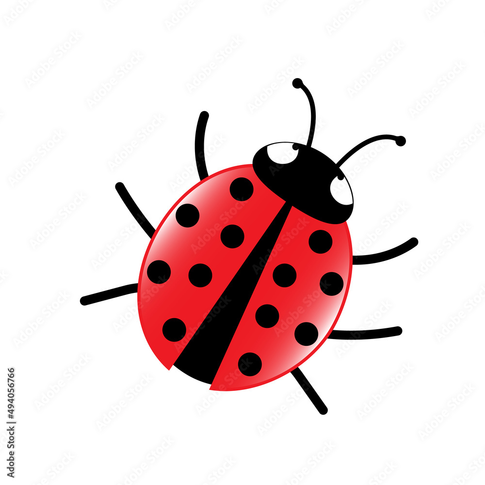 Ladybug, vector illustration isolated on white background